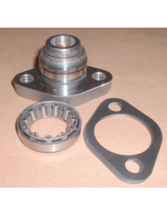 Conjunto pivote